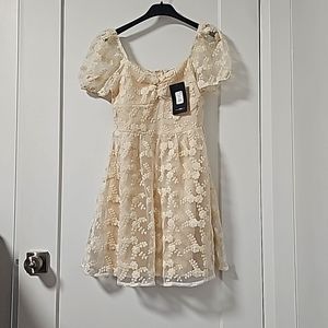 FASHION NOVA Mini lace dress